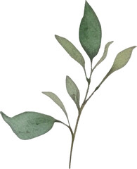 Vector Watercolor painted flower. Hand drawn flower design elements isolated on white background.