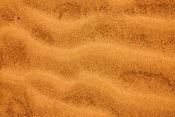 Golden Sand Texture with Natural Wave Patterns Overhead Close Up View