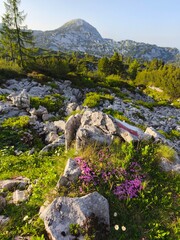 summer hiking adventure in totes gebirge