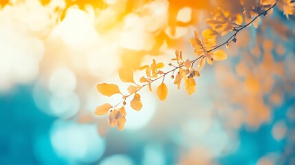 Fototapeta premium Cool blues merge with warm yellows, blurred vision of a summer's day, PPT background (1)