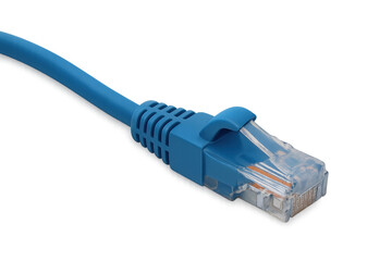 Close-up of a blue network cable with a transparent background, emphasizing its role in connecting devices in today's digital world