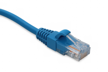 Close-up of a blue network cable with a transparent background, emphasizing its role in connecting devices in today's digital world