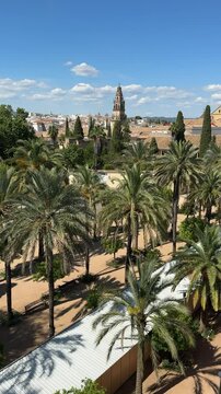 Cordoba, Spain - View of Mezquita and Cordoba cathedral and Bell tower from Jardines del Alc&aacute;zar de los Reyes Cristianos, Tiered Gardens of The Alcazaba