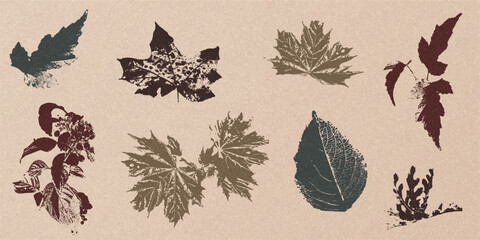 Autumn leaves with grainy texture. Isolated traced plants on grainy background. Vector abstract design elements for cover, banner, poster, flyer, card, seasonal discount offer and sale, social media
