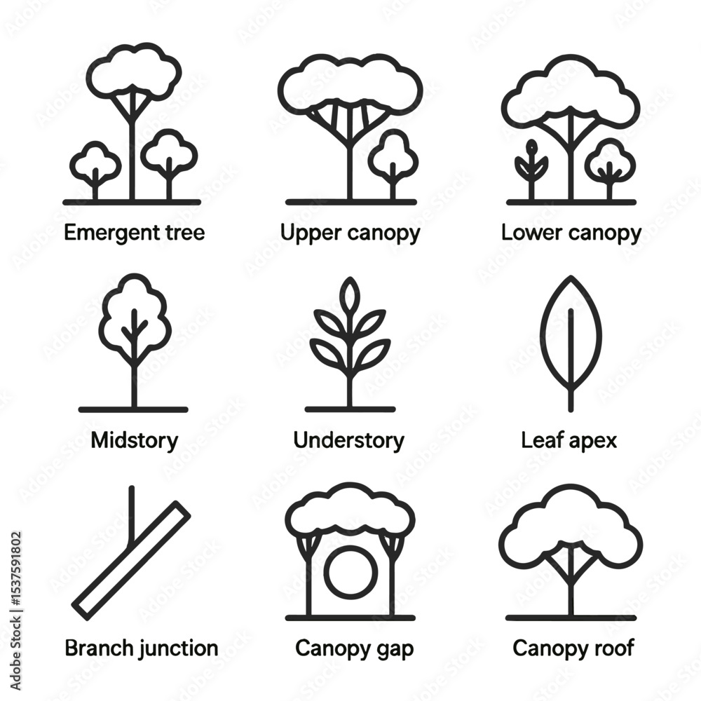 Poster canopy structure icons. outline icon set of canopy structure layers: emergent tree, upper canopy, lo