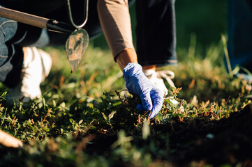 Volunteer picking up trash in park on sunny day