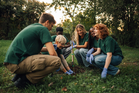Group of volunteers planting new tree in park