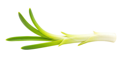 Fresh scallion with vibrant green leaves and a crisp white bulb.