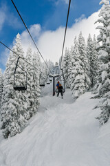 Snowboarder/skier riding a chairlift through the snowy trees at Steamboat Springs ski area in the winter
