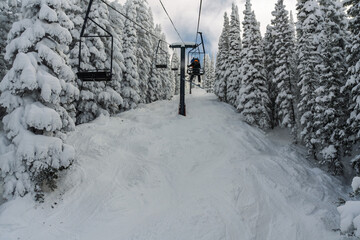 Snowboarder/skier riding a chairlift through the snowy trees at Steamboat Springs ski area in the winter