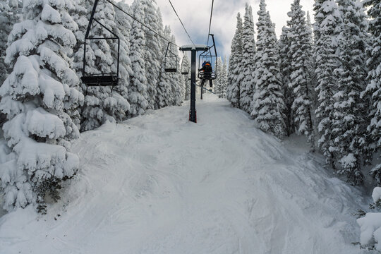 Snowboarder/skier riding a chairlift through the snowy trees at Steamboat Springs ski area in the winter