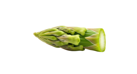 Freshly cut asparagus spear with tightly closed buds and a vibrant green hue.