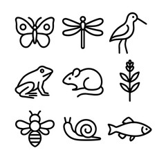 Obraz premium Lowland Biodiversity Icons. Outline icon set of lowland biodiversity: butterfly, dragonfly, marsh bird, amphibian, small mammal,