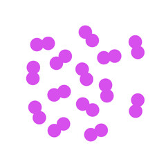 pneumococcal infection vector