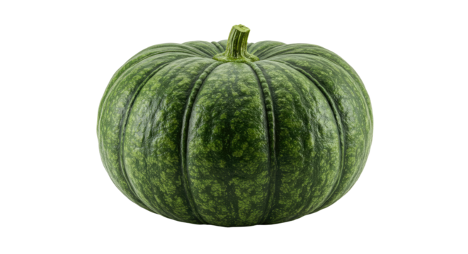 Greenskinned pumpkin with mottled texture and short thick stem front view.