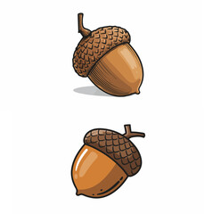 Hand-Drawn Acorn Set © fantastic