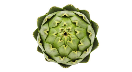 Fototapeta premium Overhead View of a Single Artichoke Intricate Green Petals