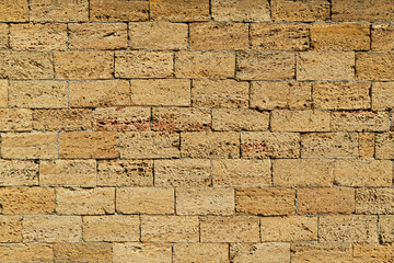 The texture of the sand-colored shell shell wall