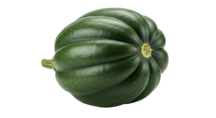 Perfectly formed acorn squash showing detailed texture and vibrant green color