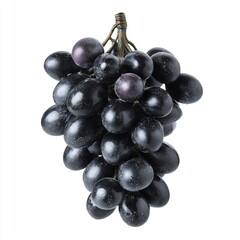 Fototapeta premium grapes bunch, black variety, matte finish