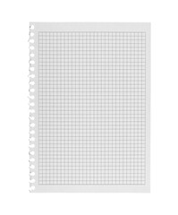 A single checkered paper sheet with a perforated edge on an isolated white background is perfect for notes, lists, and daily planning tasks. This versatile sheet suits educational purposes.