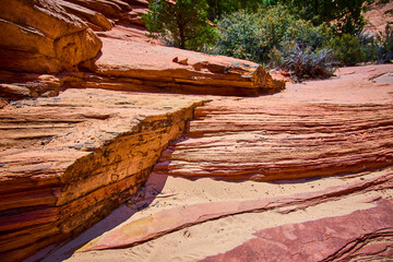 Layered Red Sandstone Desert Erosion with Sparse Vegetation Eye Level Close Up