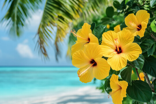 Yellow hibiscus flowers blooming near a tropical beach with palm trees and turquoise ocean in the background