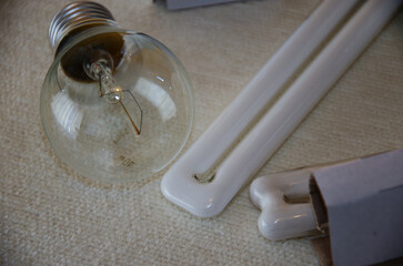 Close-up of diverse light bulbs on a textured surface highlighting innovation