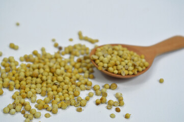 Wooden spoon filled with organic Coriander seeds (Coriandrum sativum), placed on a pile of whole Coriander seeds, isolated on a white background.

