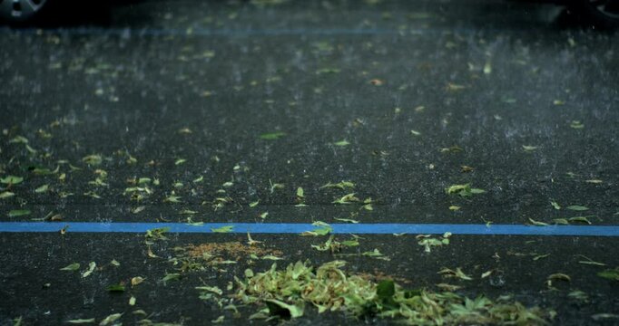 Leaves scattered across asphalt as rain pours between blue parking lines in empty lot during heavy storm with minimal motion