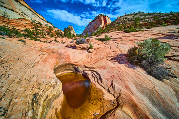 Sandstone Striations and Rock Pool with Desert Vegetation Ground Level