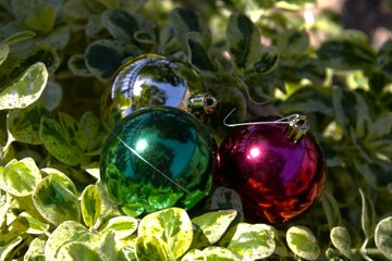 shiny gold green and red christmas ornaments