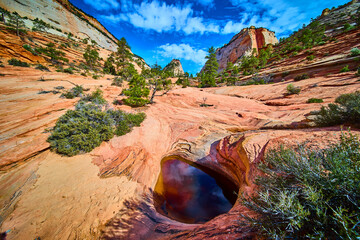 Sandstone Formations Natural Pool and Desert Pines Zion National Park Low Wide