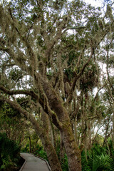 Meritt Island National Wildlife Refuge, Florida