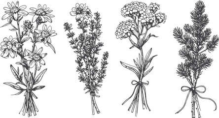 Black and White Floral and Herb Sketches