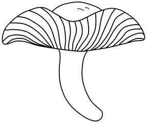 Deadly Fibrecap Mushroom Vector Outline Line Art Drawing