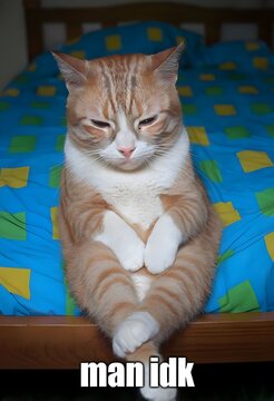 Comedic Orange Tabby Cat with Man - 'IDK' Text Meme