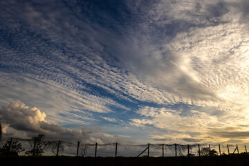Stunning sunset with dramatic clouds and silhouettes of trees in Brazil.,Rrepresenting nature's...