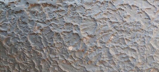Textura de Pared de Cemento Gris con Relieve Irregular