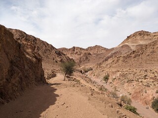 Jordan Trail long distance hiking from Dana Valley to Petra and Wadi Rum.Wadi Rum Desert, Jordan. The red desert and Jabal Al Qattar mountains,Arabia