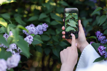 Woman using plant recognition application on smartphone outdoors, closeup