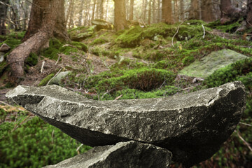 Podium for product presentation made of stones in forest. Space for design