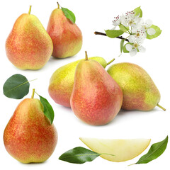 Fresh pears and green leaves on white background, collage
