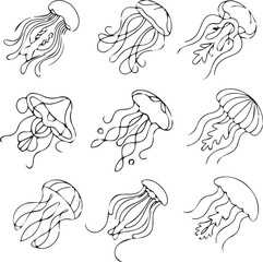 set Hand drawn black line jellyfish on white background. Fully editable vector illustration