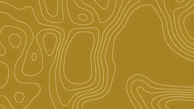 abstract topoghraphy pattern with lines	
