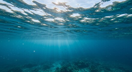 Obraz premium Sunlight Streaming Through Ocean Surface Ripples Creating an Ethereal Underwater Ambiance