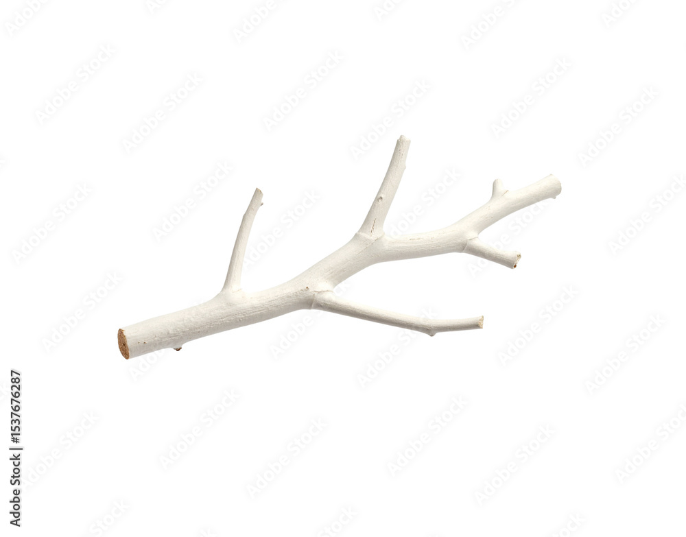 Poster bleached tree branch with multiple offshoots and textured bark detail