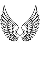 Obraz premium Detailed illustration of angel wings showcasing intricate feather designs in a minimalist style 