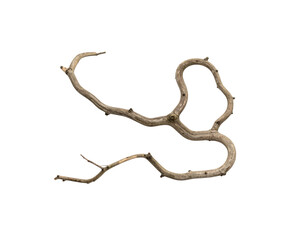 Obraz premium Curving weathered branch with textured bark and small twig remnants