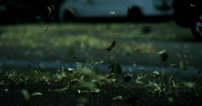 Dry leaves lift violently from the asphalt as a gust of wind sweeps through an empty street with cars parked in the background before rainfall